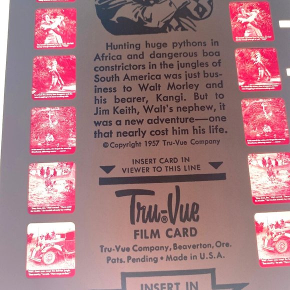 Tru-Vue Film Card Stereoview Boa Constrictor Hunter Snakes Reptiles Vintage M-11 - Picture 6 of 6